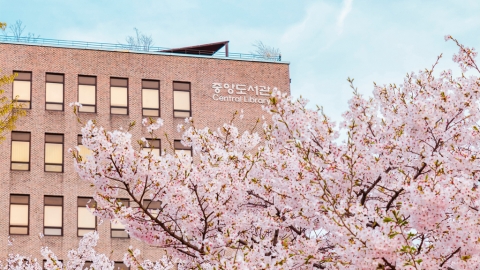 首爾機票優惠！櫻花季照減！