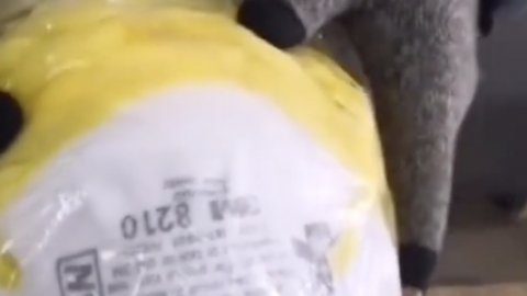 網傳內地順豐截日韓網購口罩轉售