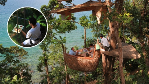 泰國庫德島樹屋餐廳「Treepod Dining」 享受無敵海景＋Zip-line送餐服務
