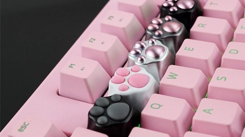 外國推超可愛貓掌鍵盤套 神還原主子手仔觸感好治癒