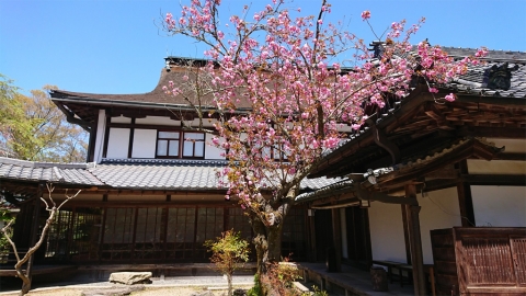 關西3大賞櫻酒店推介 鄰近大阪/京都/奈良賞櫻景點、待在房間獨佔櫻花盛開美景！