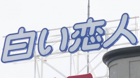 中國遊客驟減銷量大跌 白之戀人宣布停產1個月