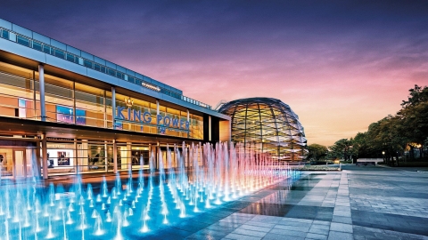 泰國首現新冠肺炎死亡個案 死者生前在曼谷免稅店做銷售員