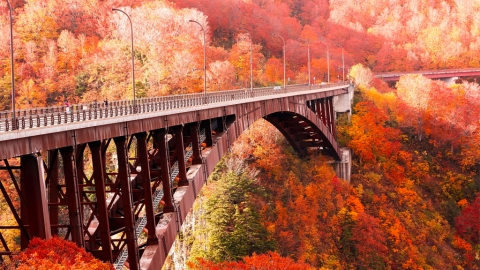 最新日本紅葉情報 紅葉最前線｜東京、大阪、京都、北海道等各地紅葉預測時間表｜賞楓銀杏景點推薦