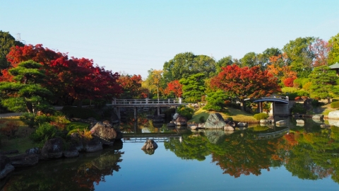10個大阪賞楓景點推介