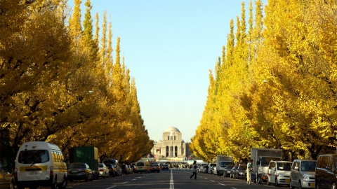 5大東京銀杏景點推介 國營昭和記念公園、明治神宮外苑金黃色隧道