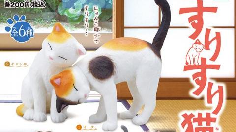 日本得意貓貓扭蛋 貓咪賣萌撒嬌蹭主人