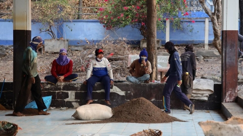 無懼疫症採蝙蝠糞作種水果肥料 泰國村民：「不擔心感染因病毒起源非泰國」