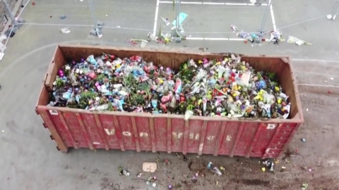 疫情下鮮花需求大跌 荷蘭單日銷毀過百萬朵鬱金香玫瑰