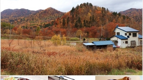 北海道豐平峽溫泉一日遊