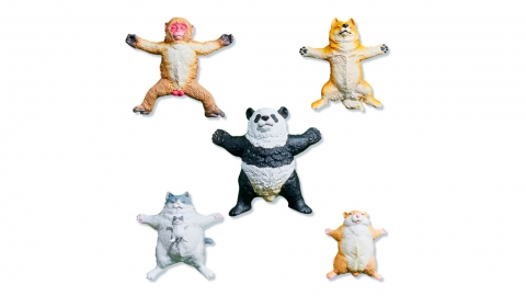 日本新推得意動物扭蛋 齊齊大字形躺地睡覺好治癒