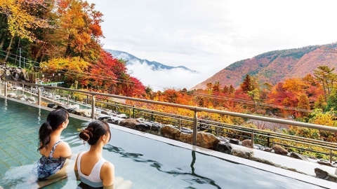 箱根10大景點推介 小王子博物館/溫泉主題樂園/御殿場Outlet