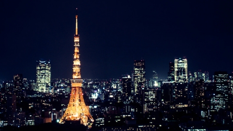 網民票選日本20大最令人失望觀光景點 茨城粉蝶花海竟排第2？