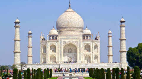 印度封城環境改善 大量紅鶴破天荒棲息孟買濕地