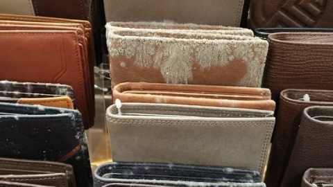 馬來西亞封城商場關閉2個月 重開後驚見皮鞋皮袋全發霉佈滿霉菌