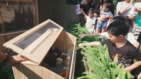 澳門二龍喉公園親子好去處