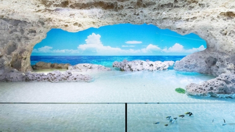 沖繩DMM Kariyushi水族館開幕 離那霸機場20分鐘車程！美麗海水族館以外好去處