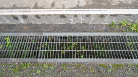 日本首次下水道驗出新冠病毒 研究員：有望提早把握第二波疫情