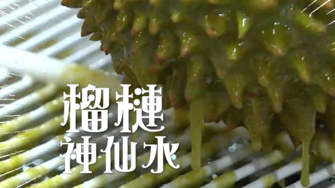 泰國新研製「榴槤神仙水」去榴槤外殼氣味 無味榴槤運送更方便 料坐車/船/飛機都可以！