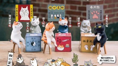 可愛貓仔化身算命大師 睇肉球預測未來運程