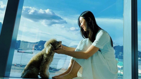 維港凱悅尚萃酒店Hyatt Centric最新寵物入住Staycation優惠 人均$560起包海景房+豐富狗狗禮品包！