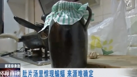 冷凍肚片湯驚見原隻蝙蝠 武漢一家飲足3日急做病毒檢測