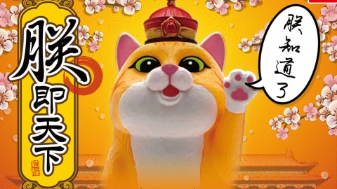 「朕即天下！」霸氣貓扭蛋 一眾貓奴快臣服於主子統治