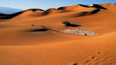 美國加州錄得54.4℃！ 100年來全球史上最高溫