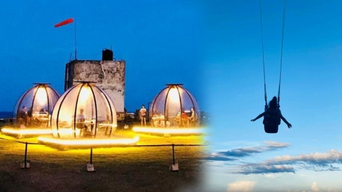 花蓮台版紐西蘭「崇德瑩農場」最新人氣打卡點 夢幻透明泡泡球歎下午茶＋無敵海景高空盪鞦韆