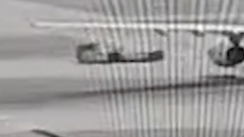 上海機場職員停機坪工作遭輾斃 牽引車無煞掣被捲車底拖行10米