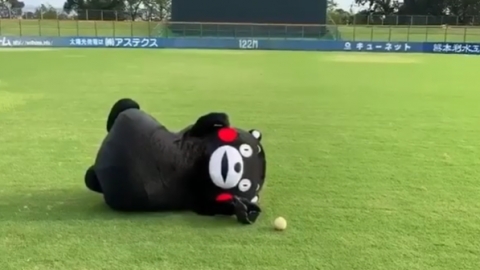 日本大臣催熊本熊結婚生仔 熊本縣堅拒：他只是個孩子啊！