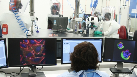 研究發現新冠病毒可存活最多28天 鈔票、手機屏幕隨時變病毒傳播黑點