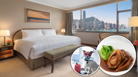 5大酒店Staycation優惠快閃72小時 低至2折起！可帶同狗狗入住﹑送原隻鮑魚套餐﹑意大利Tea set﹑啤啤熊製作！