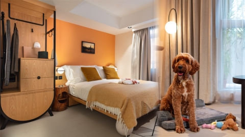 上環簡約設計酒店the Figo全新開幕！ 人均$273起入住！寵物友善／露天泳池／寵物Tea set