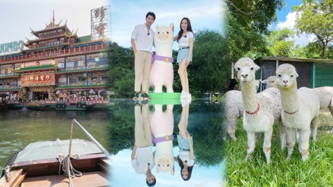 香港4大本地遊特色活動+戶外好去處 農莊親親羊駝/香港仔舢舨遊/環保染布體驗