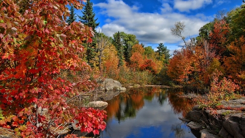 加拿大最宜居城市排名 多倫多、溫哥華排第幾?