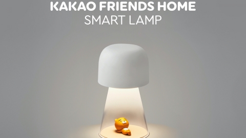 韓國KAKAO FRIENDS新出Ryan檯燈