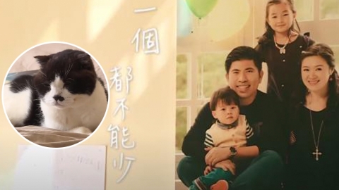 全家移民台灣貓貓病重無法入境