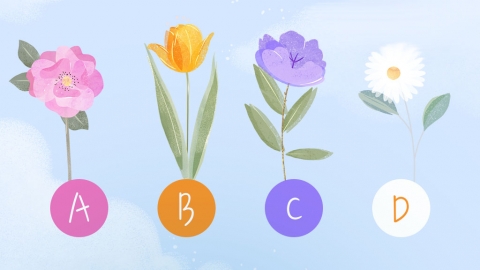 韓國超人氣戀愛心理測驗 直覺選出花朵類型 測你愛情觀和理想型！