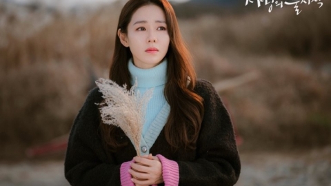 外國網民票選2020年十大最佳韓劇 《精神病》五強不入/《愛的迫降》竟得第二