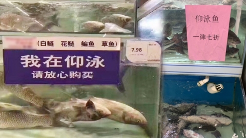 網上瘋傳超市魚缸創意標價牌 網民﹕「反肚魚也能誇成新品種？」