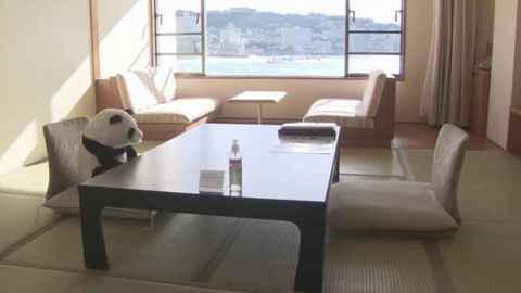 日本和歌山酒店疫情下住客大減 熊貓公仔「獨守空房」等客惹網民憐愛
