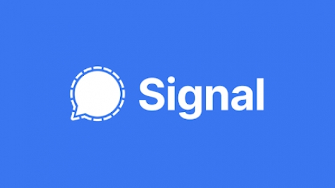 Signal 5大好用功能教學 一鍵相片人樣打格仔／隱藏輸入中狀態