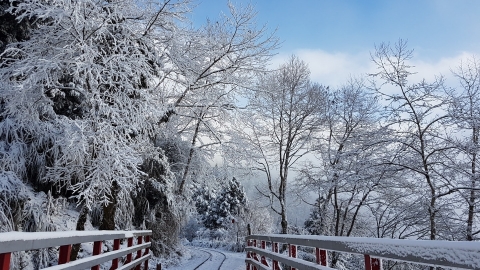 台灣多地降雪現唯美雪景 陽明山、合歡山等成白色冰雪世界