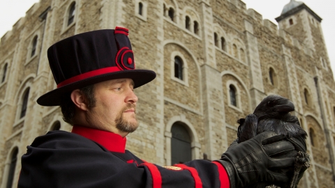 英國倫敦塔渡鴉皇后恐身亡 傳說渡塔鴉數量同英國國運有關?