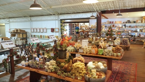 西澳橄欖園 自製零添加護膚品