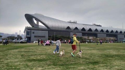 康文署增設全港各區逾30個寵物公園！附地址詳情 港九新界離島都有/海濱長廊環境優美/設施齊全