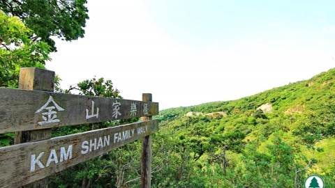 金山家樂徑30分鐘超輕鬆散步路線！ 老少咸宜郊遊徑/飽覽九龍水塘風光/遠眺大帽山
