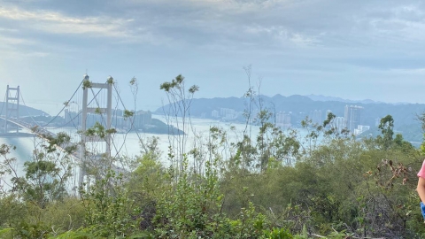 青衣自然徑2小時輕鬆郊遊 俯瞰青馬大橋/汀九橋風光/必睇迷人海景日落