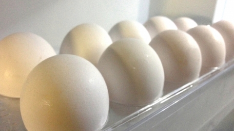 雞蛋放雪櫃蛋格原來是錯！ 日本專家教正確擺放方法